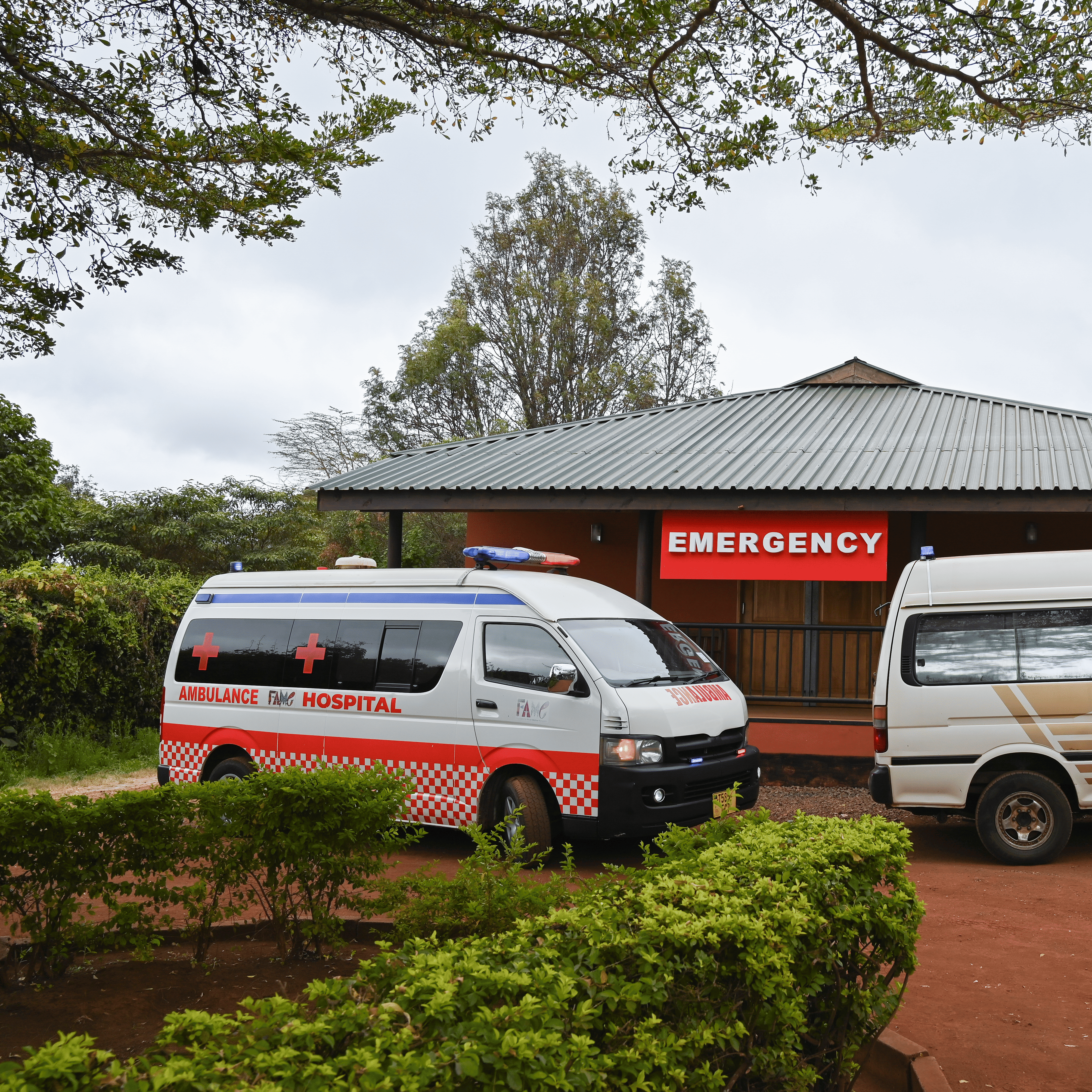 Spotlight on FAME: Emergency Medicine - logo